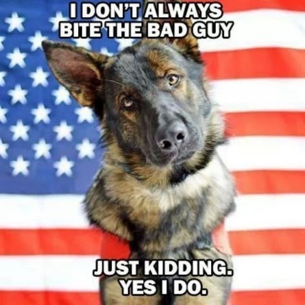 A police dog cocks it's head inquisitively in front of an american flag beneath the words "I don't always bite the bad guy. Just kidding, yes I do."