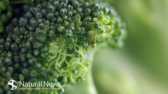 Close-up image of a broccoli floret.